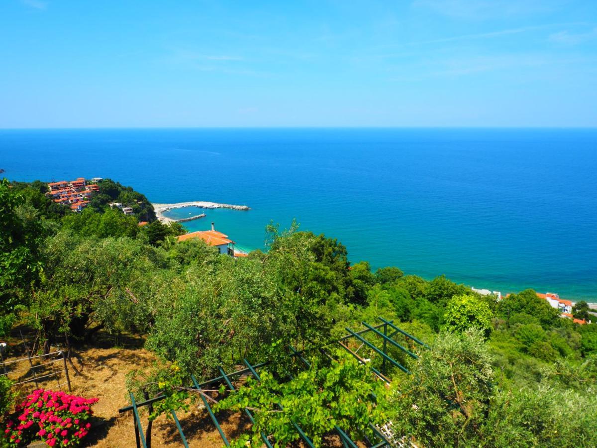 Felitsia Apartments & Studios Agios Ioannis  Ngoại thất bức ảnh